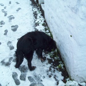 Paul in the Snow