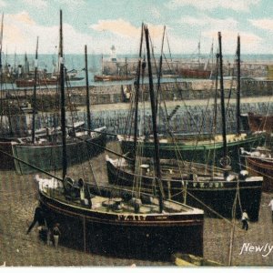 Newlyn Fishing Fleet