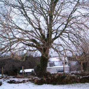 Just as it started to thaw down came another load.