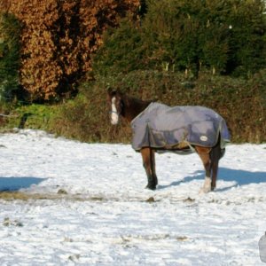 Just as it started to thaw down came another load.