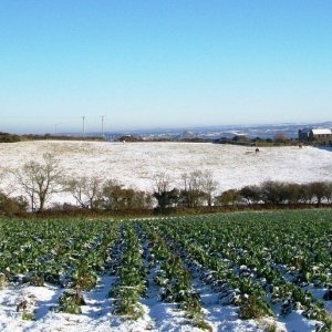 Just as it started to thaw down came another load.