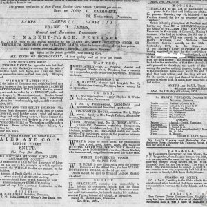 Tidings 29th October 1875 Lower Part Page 1