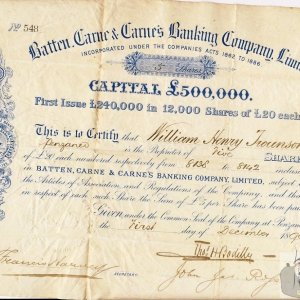 Batten Carne and Carnes Banking Corporation