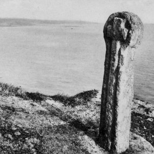 Cornish Cross