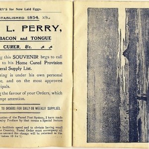 Perrys Souvenir of Penzance