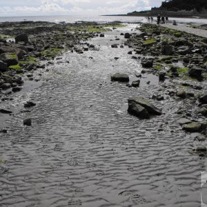 footprints_in_the_sand