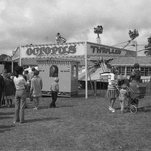 The Octopus