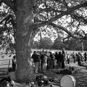 Penalverne Pleasure Fields, and the bands