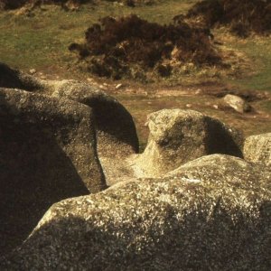 Carn Brea - 2
