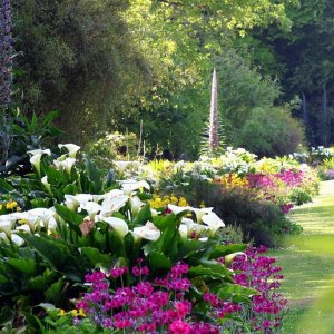 Colours bathe in the sun at Tregwainton