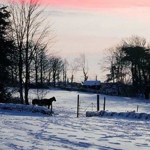 Nancealverne Fields