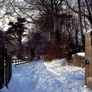 Nancealverne Drive, by The Lodge (now gone)