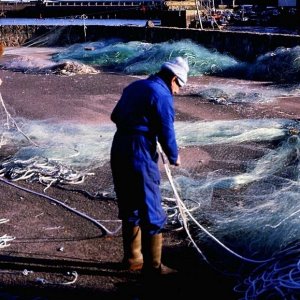 Nets at Newlyn