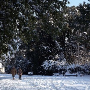 Penlee snow