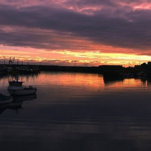 BOATS AT REST