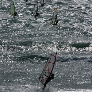 WIND SURFERS