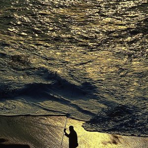 FISHING FOR GOLD