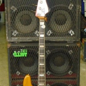 My Bass Rig