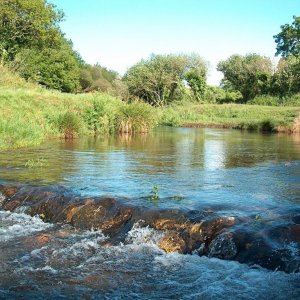 St Erth river summer afternoon