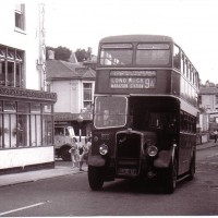 Western National