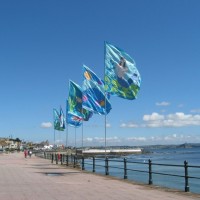Flags 2