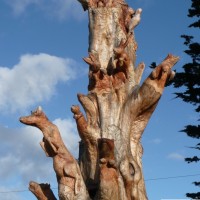 tree sculpture 5