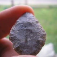 Leaf shaped arrowhead