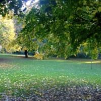 Penlee Park in Autum - 4th November, 2010