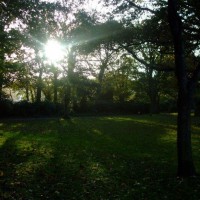 Penlee Park in Autumn - 4th November, 2010