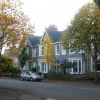 Alexandra Road in Autumn, 4th Nov10