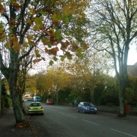 Looking down Alexandra Road in Autumn, 4th Nov10