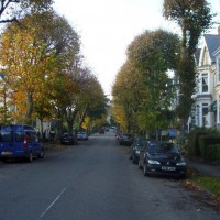 Looking up Alexandra Road in Autumn, 4th Nov10