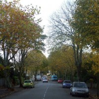 Looking down Alexandra Road in Autumn, 4th Nov10