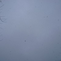 SNOW NOVEMBER 2010