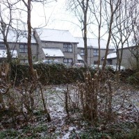 SNOW NOVEMBER 2010