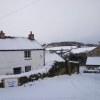 SNOW NOVEMBER 2010