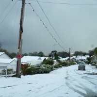 SNOW NOVEMBER 2010