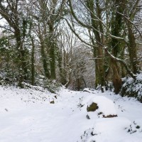 2nd dec 2010