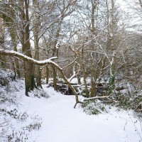 2nd dec 2010