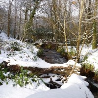 2nd dec 2010