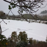 2nd dec 2010