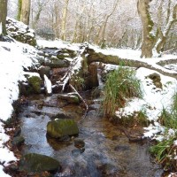 2nd dec 2010