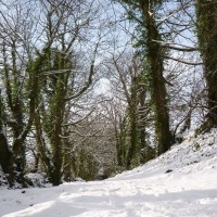 2nd dec 2010