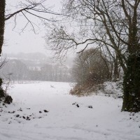 2nd dec 2010