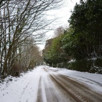 2nd dec 2010