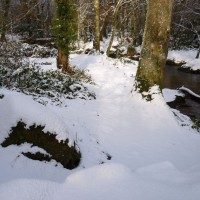 2nd dec 2010