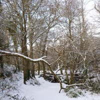 2nd dec 2010