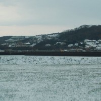 in the snow