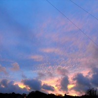 Autumn light (17)