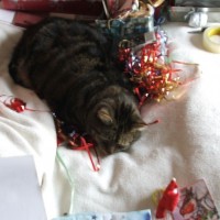 Wrapping stuff is just exhausting...